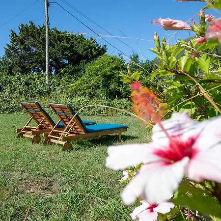 Apartman Casa Da Sogra - 1 *